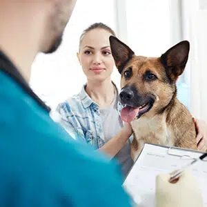 Pet Documentation and legal requirements